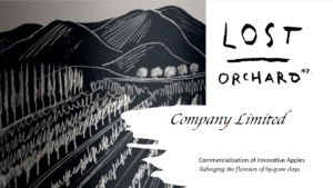 Lost orchard lllustration and logo